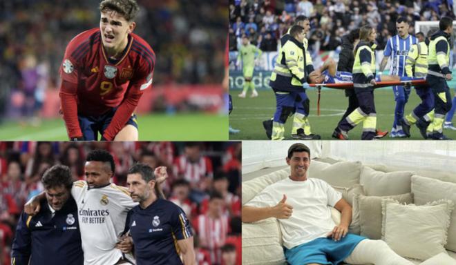 西布朗不仅 西布朗不仅